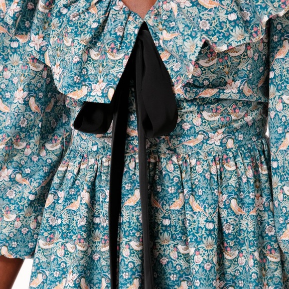 Tuckernuck Hyacinth House Ruffle Collar Birdsong Mini Dress - Picture 3 of 7